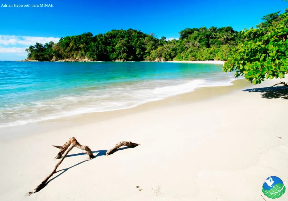 Manuel Antonio